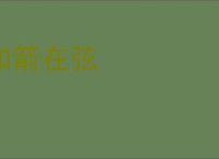 如箭在弦