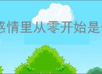 感情里从零开始是什么