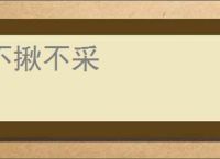 不揪不采
