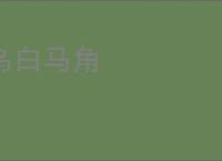 乌白马角