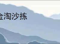 金淘沙拣