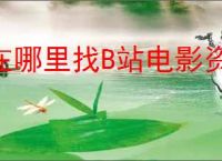 在哪里找B站电影资源