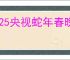 2025央视蛇年春晚 抖音直播观看指南