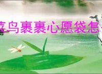 菜鸟裹裹心愿袋怎么领取