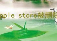 apple store被删除了怎么恢复