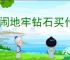 胡闹地牢钻石买什么最划算,胡闹地牢钻石使用方法