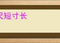尺短寸长