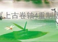 《上古卷轴4重制版》代码一览
