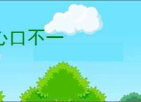 心口不一