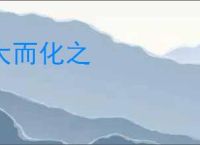 大而化之