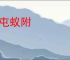 蜂屯蚁附