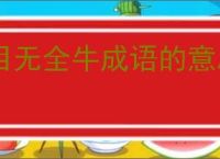 目无全牛成语的意思是什么