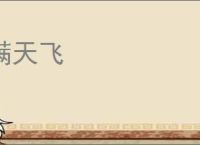 满天飞