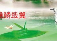隐鳞戢翼