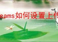 teams如何设置上传图片质量