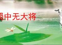 蜀中无大将