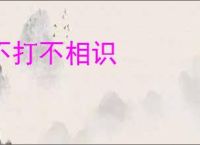 不打不相识