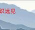 高识远见