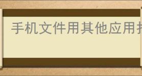 手机文件用其他应用打开怎么设置