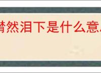 潸然泪下是什么意思