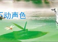 不动声色