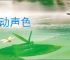 不动声色