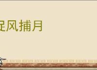 捉风捕月