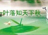 一叶落知天下秋