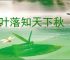 一叶落知天下秋