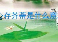 心存芥蒂是什么意思