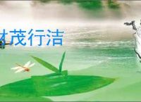 材茂行洁