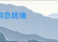 狗急跳墙