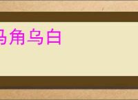 马角乌白