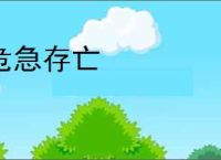 危急存亡