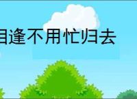相逢不用忙归去
