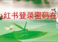 小红书登录密码在哪设置