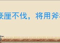 豪厘不伐，将用斧柯