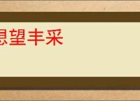 想望丰采