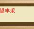 想望丰采