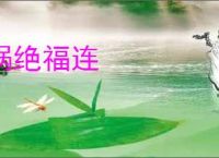 祸绝福连