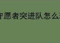 守愿者突进队怎么玩,守愿者突进队阵容推荐