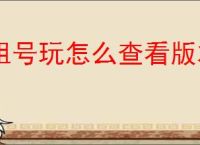 租号玩怎么查看版本号