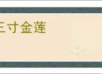 三寸金莲