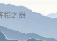 将相之器