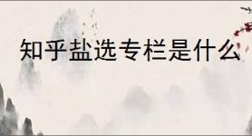 知乎盐选专栏是什么