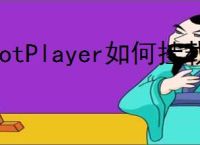PotPlayer如何挂载字幕