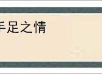 手足之情