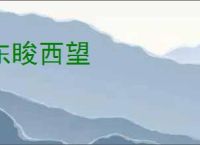 东睃西望