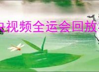 央视频全运会回放在哪里看