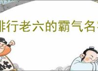 排行老六的霸气名字